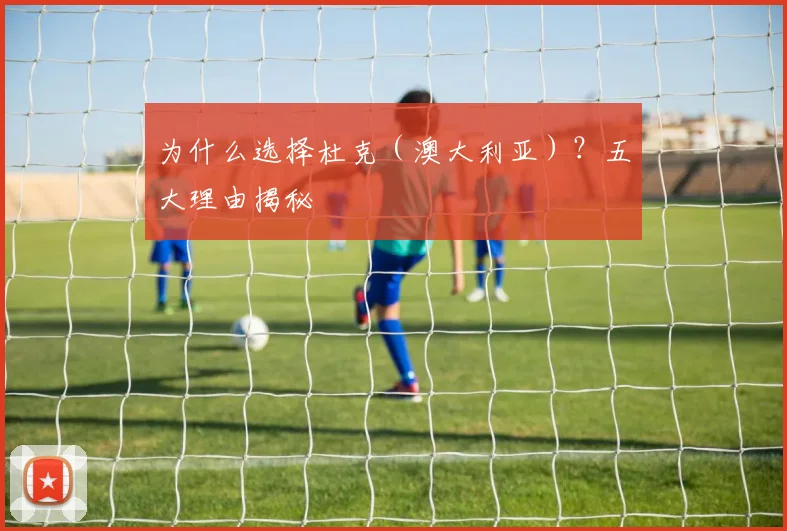 为什么选择杜克（澳大利亚）？五大理由揭秘