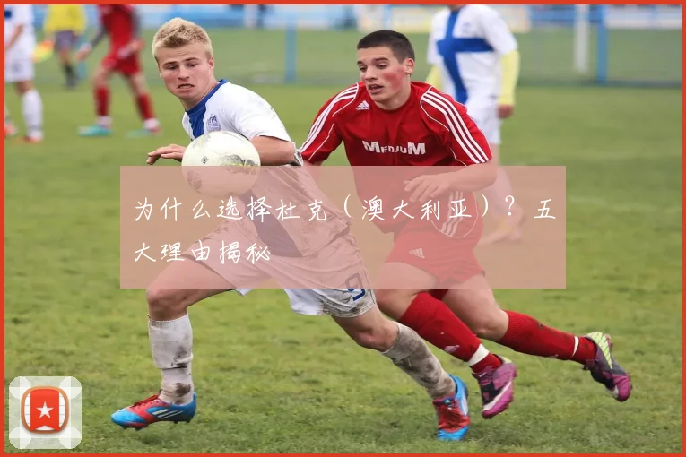 为什么选择杜克（澳大利亚）？五大理由揭秘